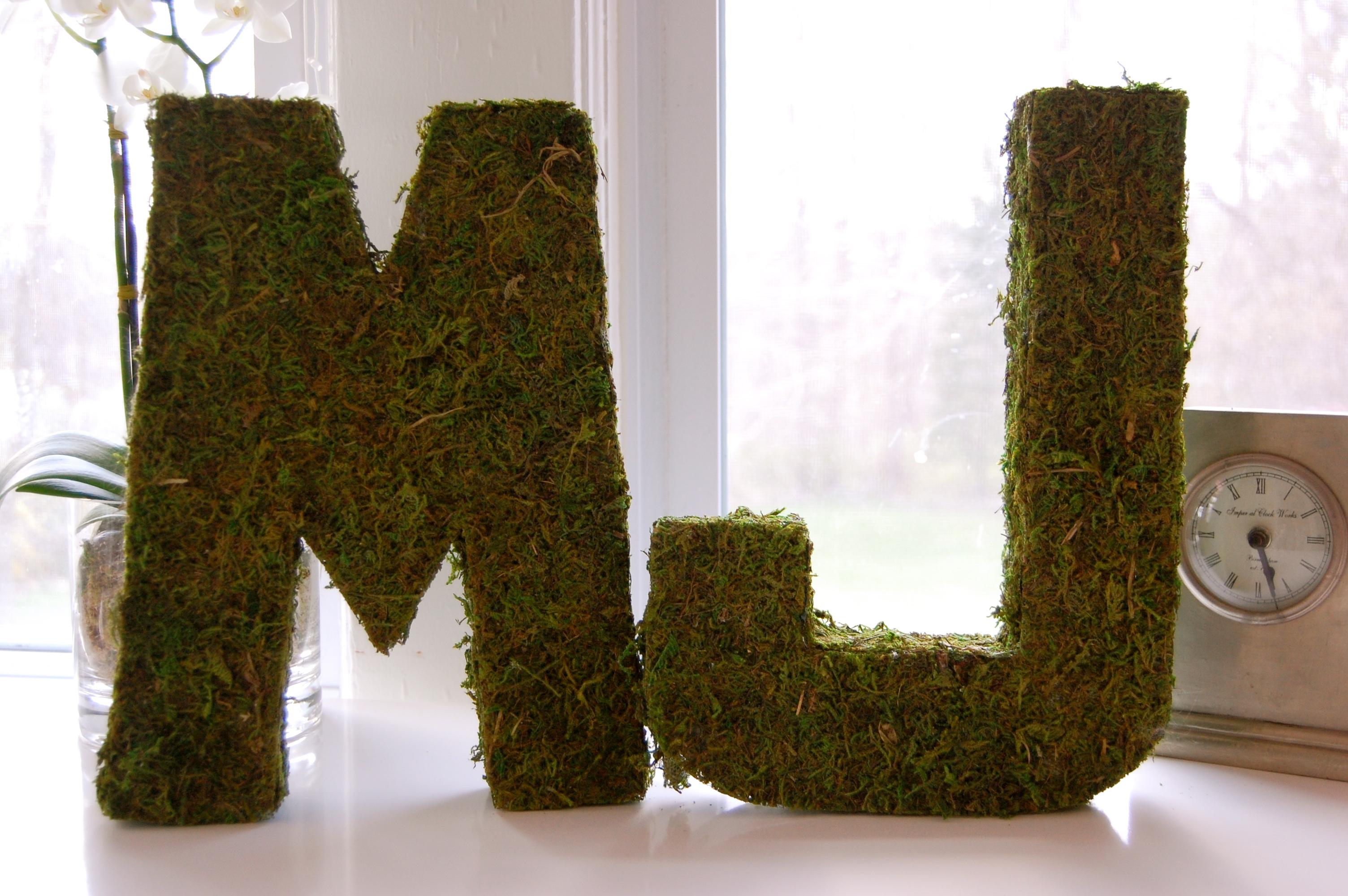 moss-letters